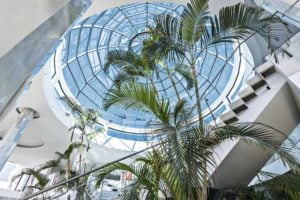 View of a glass ceiling with palm trees Elba Lanzarote Royal Village Resort