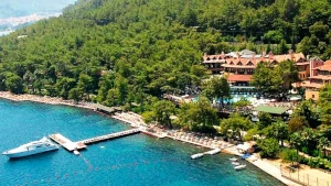 School Holidays Free Child Places - an image of a resort hotel with a beachfront and forested background